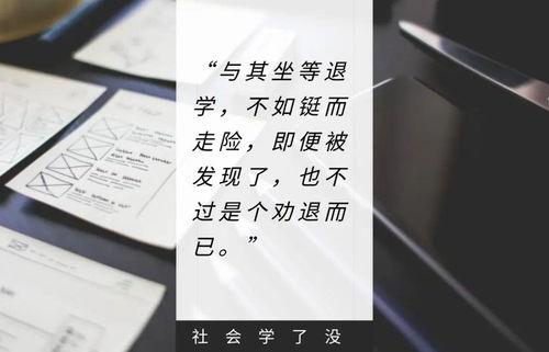 代写论文这十年 灰色产业里的黑吃黑,远比你想得多