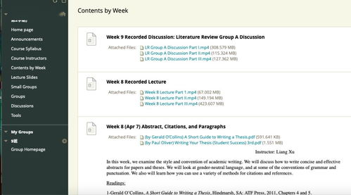 镜头里的世界 国际项目英文课程 研究生论文写作 跨时区开讲