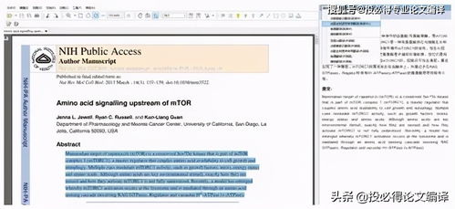 高效学术写作 文献阅读与论文写作工具推荐