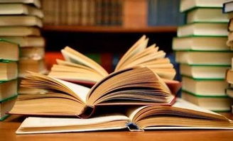 如何确定研究生论文的研究方法及英语论文写作注意事项