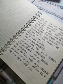 你不知道的大学宝典 代写英语论文的真相与风险